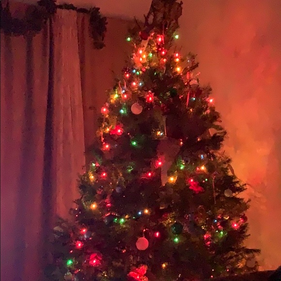 Meet your Posher, Claudia - Picture 1 of 1